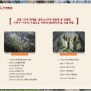힐스테이스 사하역 네이버블로그