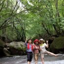 구세약국 이미지