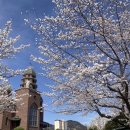 봉성산 공원 이미지