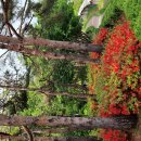 한양체육관 이미지