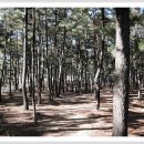 월송정매점 이미지