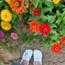 쁨쁨패밀리 이미지