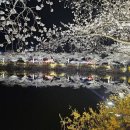 연화지김밥