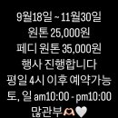 넬스아이