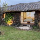 스테이 고집 이미지