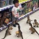 공룡(마트) 이미지