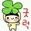 536 이미지