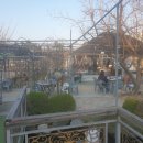 원조태능갈비 이미지