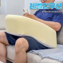 레벨업쿠션 후기, 소파에서 쓰기 좋은 기능성쿠션