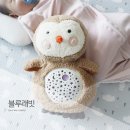 부와함께