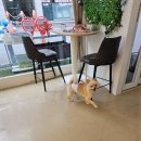 부티나개 이미지