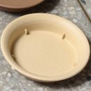 다올2호 이미지