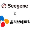 올리브 이미지
