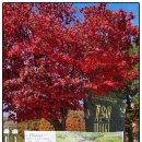 부천자연생태공원 | 🍁 단풍보기 좋은곳 찾는다면? 부천자연생태공원 추천! 가을 산책 코스 완벽 후기