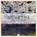 연화지 | 경북 김천 가볼만한곳 연화지 직지사 야경 벚꽃명소 추천