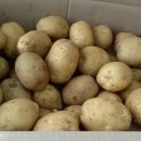 안동와룡농협 이미지