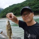 시나브로통기타 | 2011년 구름붓네 온가족 모임겸 여름휴가-내린천 노루목강변