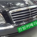 뉴성주카 이미지