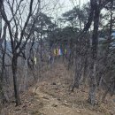 영월읍-12(태화산주차장) | 강원 정선,평창 동강 백운산 영월 태화산 최단코스 100대 명산 1일2산 동강할미꽃.청노루귀