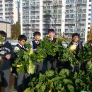 상경중학교 이미지