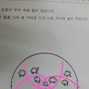 원안양 이미지