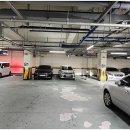 아레나 휘트니스 이미지