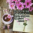 샬롬 - 유성구 엑스포로 488 | 샬롬