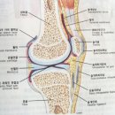 무릎 아픈 관절 이미지
