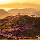 힐링라이프의원 이미지