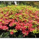 십자가축병원 이미지