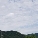 2019.07.08. 테마 투어(피반령~염티고개~청남대) 철리마번짱님!(2) 이미지