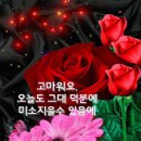 꽃보다 사랑 이미지