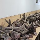 안심부부한의원 네이버블로그