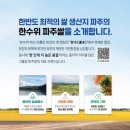파주시농협쌀조합공동사업법인 | [ABOUT THE DMZ]파주DMZ의 ‘평화미소’ 나누는 우리가 ‘PACEMAKER!’ - 파주민보 -