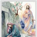 7월 22일 수요일 [(백) 성녀 마리아 막달레나 축일 「절망의 눈물을 멈춰라」반영억 라파엘 신부 이미지