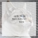 코스필라테스 네이버블로그