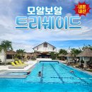 트리쉐이드 | 세부 모알보알 트리쉐이드 내돈내산 솔직후기 여자 4명 여행 숙소 추천