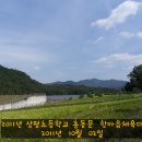 상평초등학교 이미지