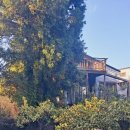 제주도작은집 작은별 이미지