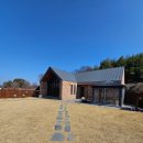 추억만 남개 | 창녕 감성 독채 숙소 강아지동반 여행으로 너무 좋았던 : 추억만남개