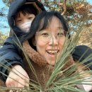 경희형제한의원 이미지