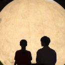 (주)빅웨이브시네마