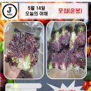 (주)제이원유통 이미지