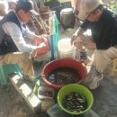 남천민박 이미지