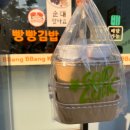 운정맛집 초롱꽃마을 새로오픈 한 김밥맛집 운정 빵빵김밥 후기: 키토김밥 있음