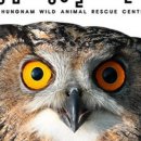 충남야생동물구조센터 이미지