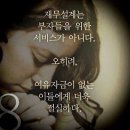 깐쵸네 애견서비스 | 깐쵸의 단골 애견용품샵 별내 브라더펫 ^_^