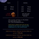 하우스 라퓨타 네이버블로그