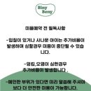 비니베니(Biny Beny) 네이버블로그