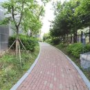 새미래숲공인중개사사무소 이미지